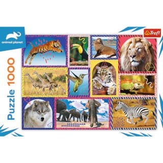 Puzzle 1000el Dzika natura 10673 Trefl