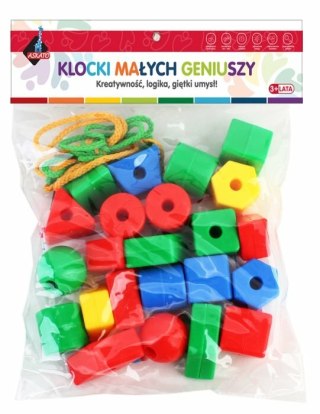 Klocki Małych Geniuszy geometryczne 22el w worku 112527