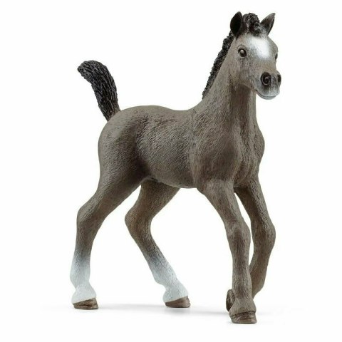 Schleich 13957 Źrebak rasy Cheval de Selle Francais Horse Club