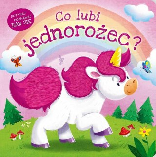 Książka Co lubi jednorożec? Zielona Sowa