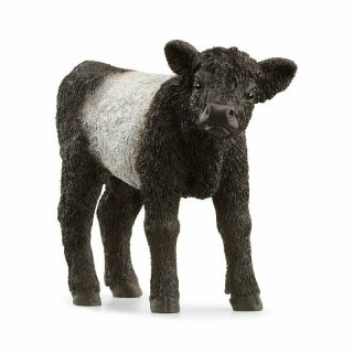 Schleich 13969 Cielę rasy Galloway