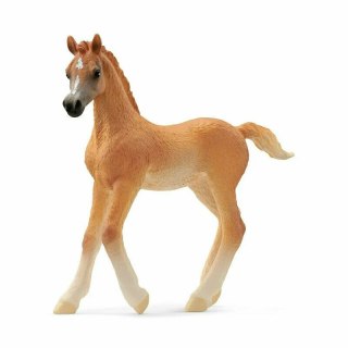 Schleich 13984 Źrebię czystej krwi arabskiej