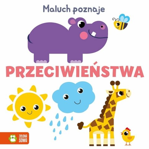 Książeczka Maluch poznaje. Przeciwieństwa