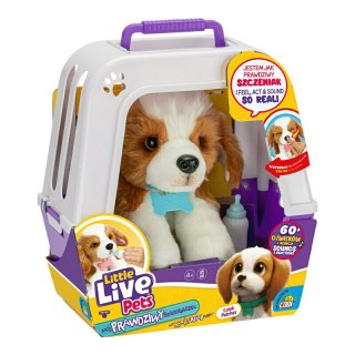 Little Live Pets 26548 Piesek z transporterkiem