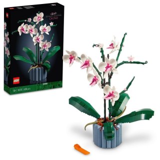 LEGO 10311 BOTANICALS Orchidea