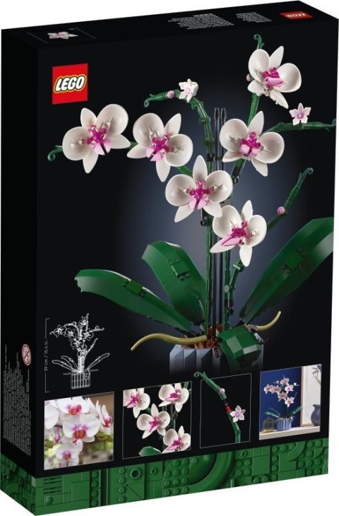 LEGO 10311 BOTANICALS Orchidea