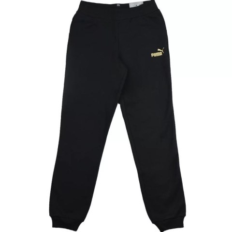 Spodnie Puma Essential Sweatpants FL G Jr 846133 51